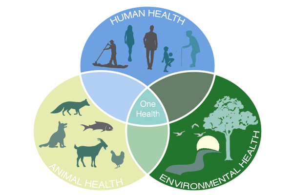 One Health