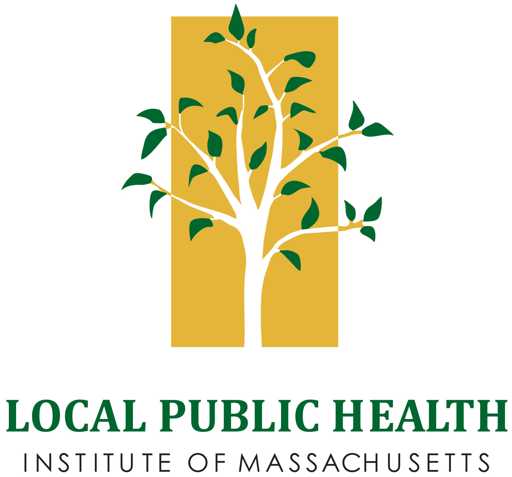 LPHI Local Public Health Institute Logo