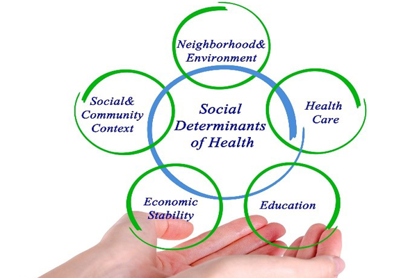social approach to health