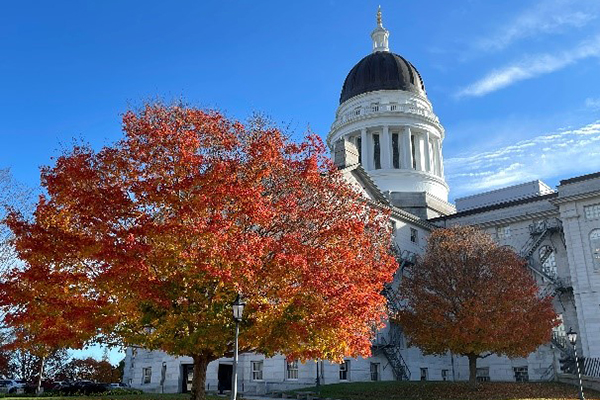 Cannabis in Maine: Public Health Policy & Impacts: Part 3 - Comparing Maine's Adult Use and Medical Cannabis Programs